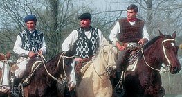 Gauchos, argentinski kauboji