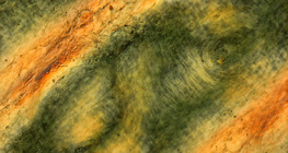 Nabori kože ljudskog prsta osvijetljeni polariziranim svjetlom