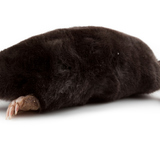 Moljac