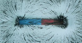 Magnet