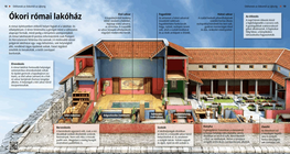 Ancient Roman Domus