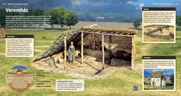 Pit House