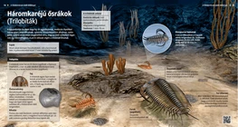 Trilobiti