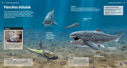 Pretpovijesne ribe oklopnjače