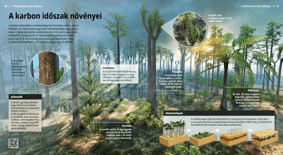 Biljni svijet u karbonu