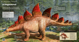 Stegosaur