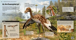Arheopteriks
