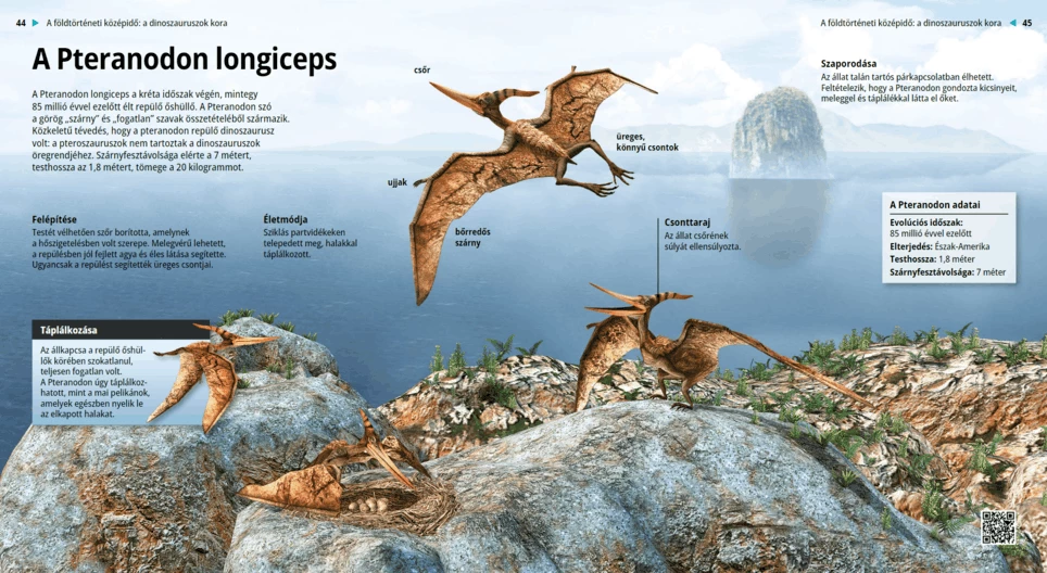Pteranodon