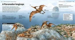 Pteranodon