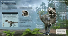 Tiranosaur