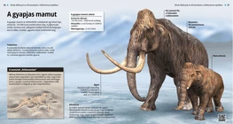Vunasti mamut