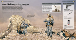 American Marine