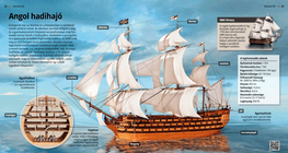 British Warship