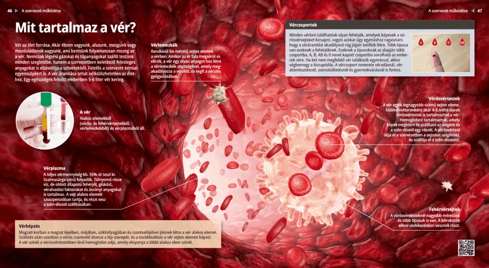 Od čega se sastoji krv?