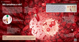 Od čega se sastoji krv?