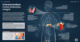 Hormonski sustav – endokrine žlijezde