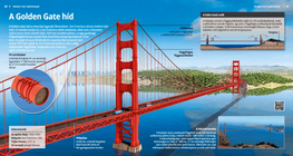 Golden Gate