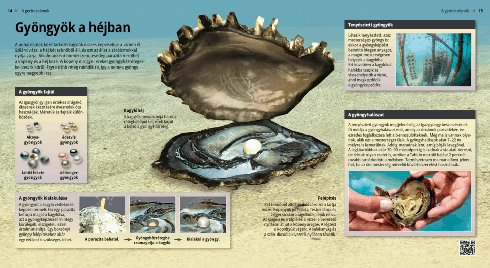 Pearls: Nature’s Rare Gift