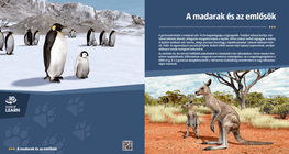 Birds and Mammals