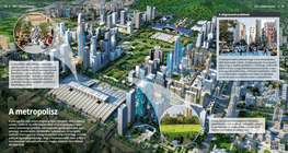 Metropolises