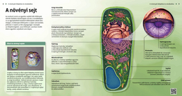 Plant Cells