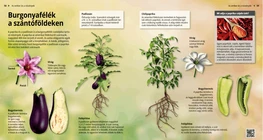 Nightshade crops