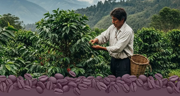 Fair trade