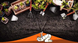 Što se događa u vrtu?