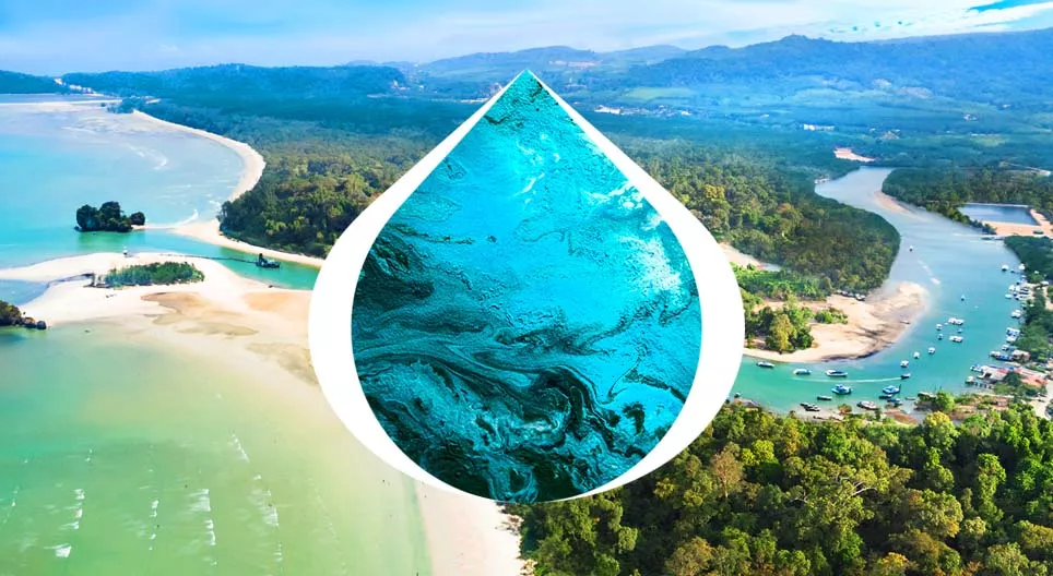 Put od izvora do ušća