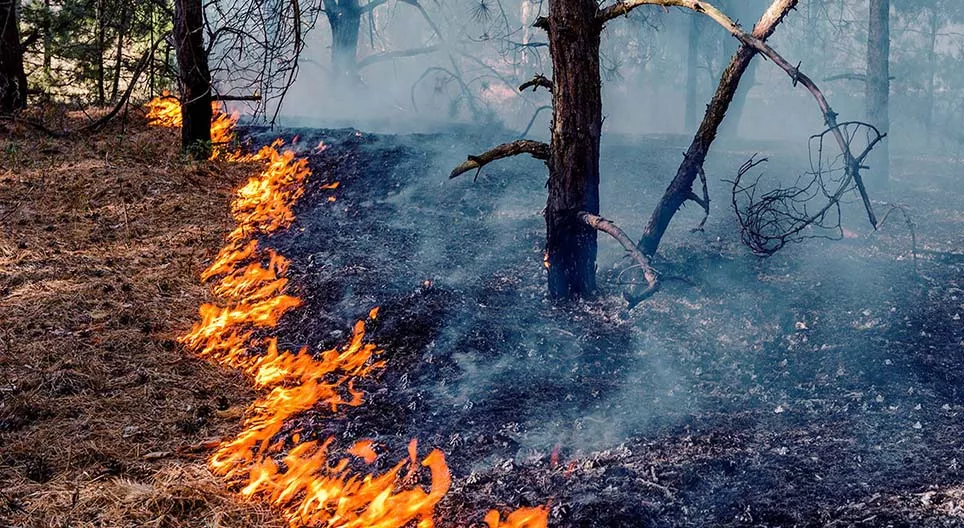 Otkada se koristimo vatrom?