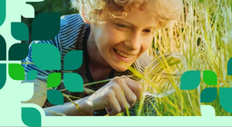 Flora i fauna ravnica.