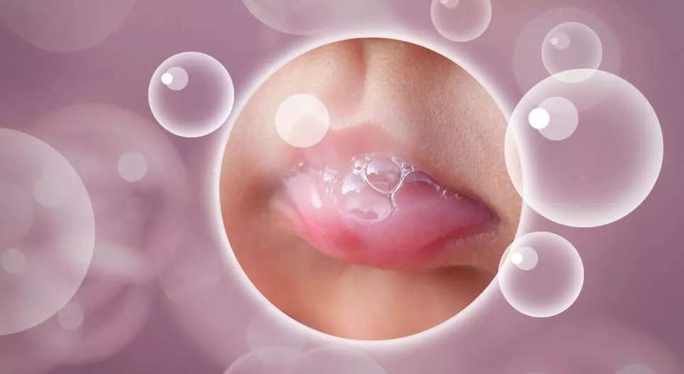 Slina, svestrana tjelesna tekućina