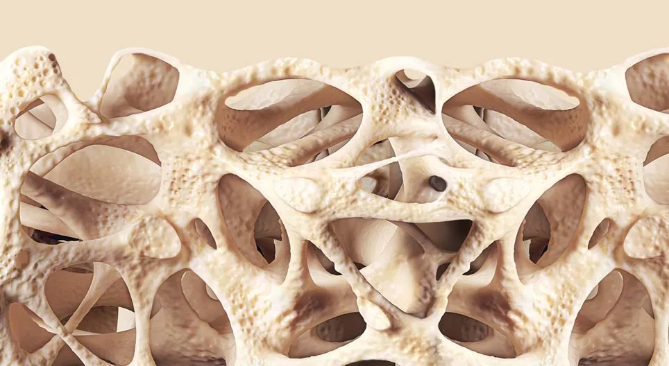 Što je karakteristično za vezivna i potporna tkiva?