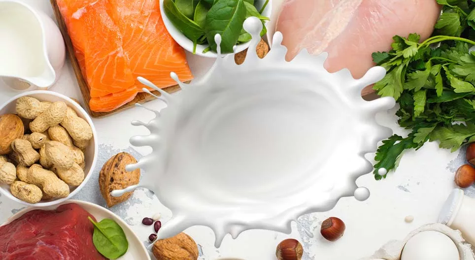 Bjelančevine, građevni blokovi našeg tijela