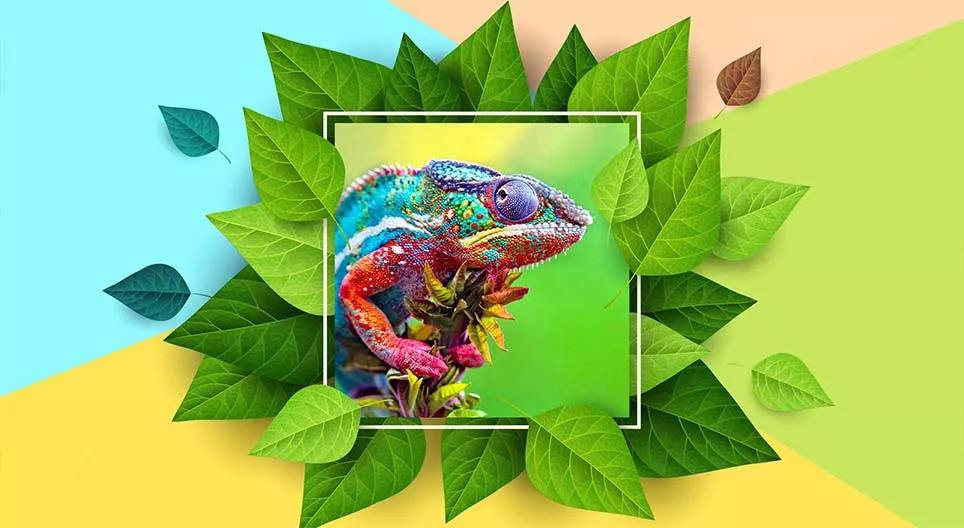 Tko može najuspješnije promijeniti boju?