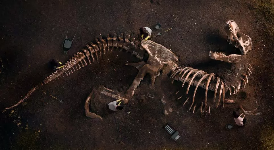 O čemu nam pričaju fosili?