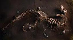O čemu nam pričaju fosili?