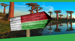 Idemo u Madagaskar