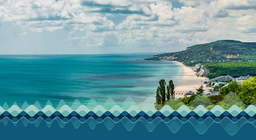 The Black Sea