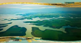 The Amazon