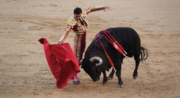 Na koji način životinje vide?