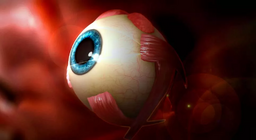 Na koji način vidimo? Ljudsko oko