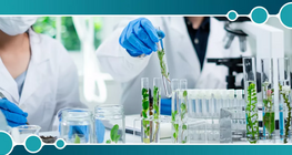 Reverse osmosis