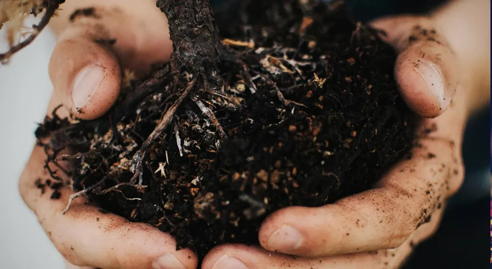 Kako se formira tlo?