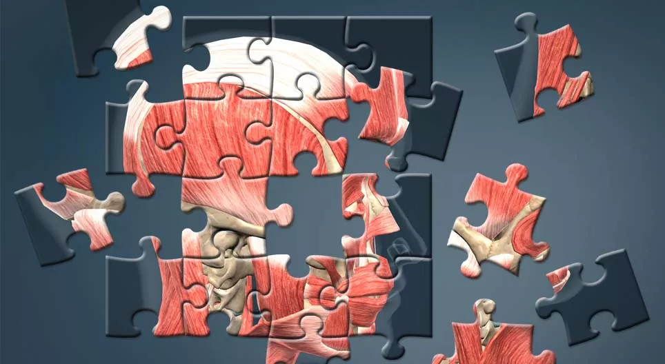 Kako se razvija ljudsko tijelo?