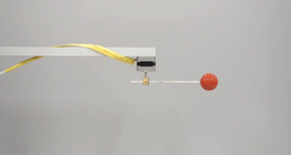 Projection of a circular motion