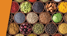 Tisuću okusa na jeziku