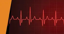The rhythm of your heart